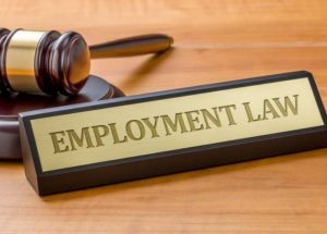 Employment & Labour Relations Law miller advocates