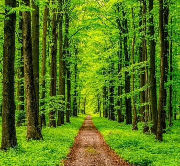 environment law - miller advocates